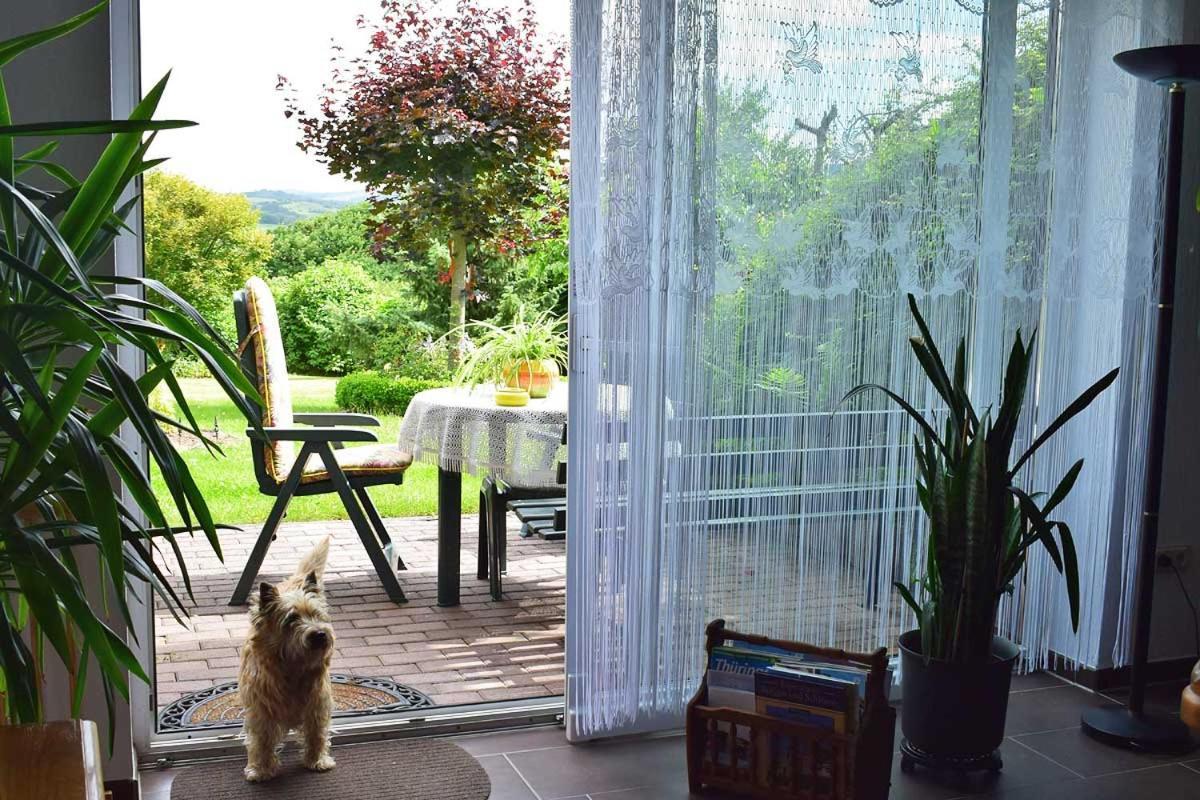 Landhaus Kuehn Bad Salzungen Exteriör bild